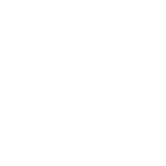 saloni